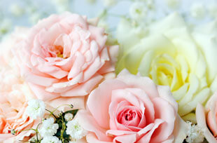 '.esc_attr__('image', 'camelia').'